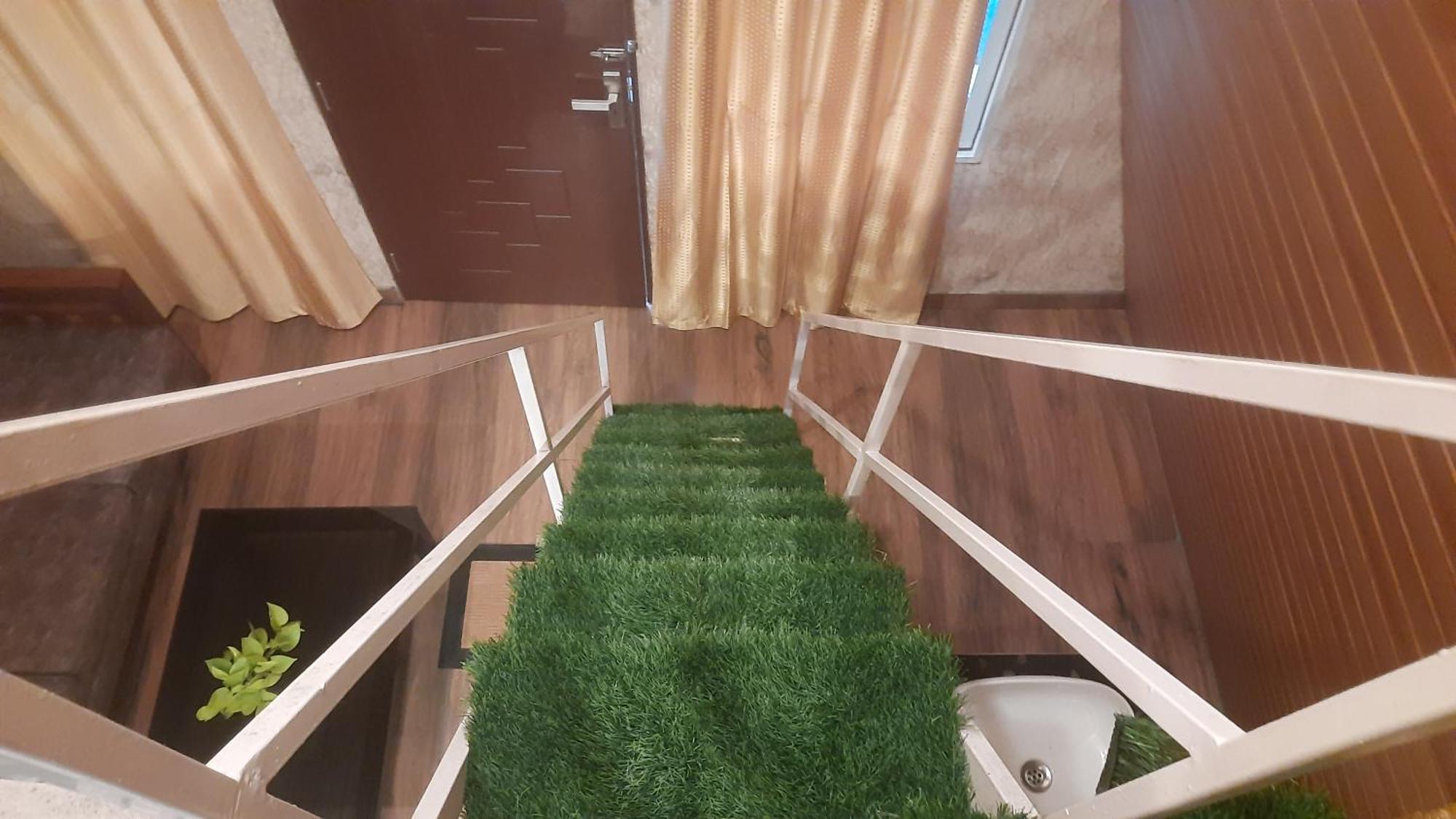 ואגאמון Paradise Meadows מראה חיצוני תמונה
