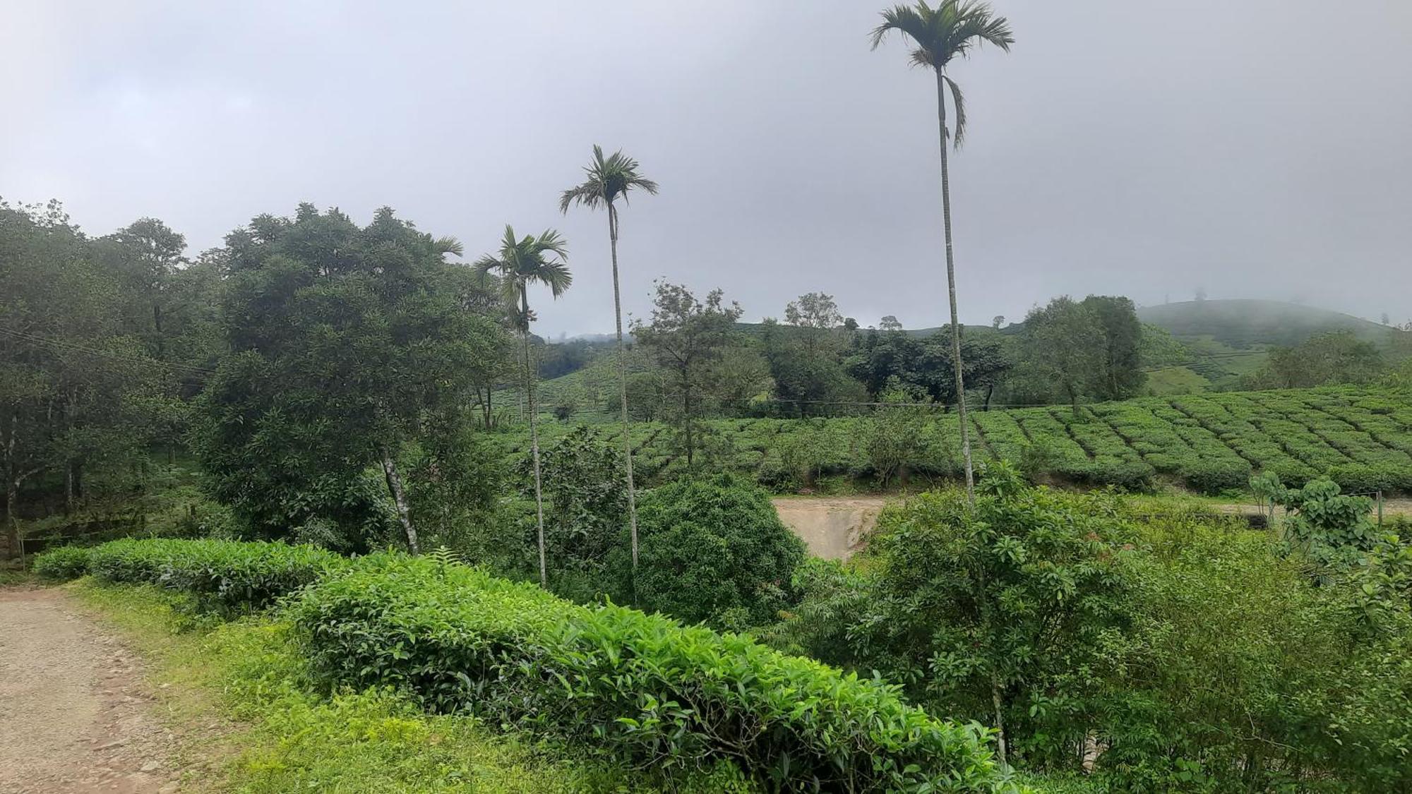 ואגאמון Paradise Meadows מראה חיצוני תמונה